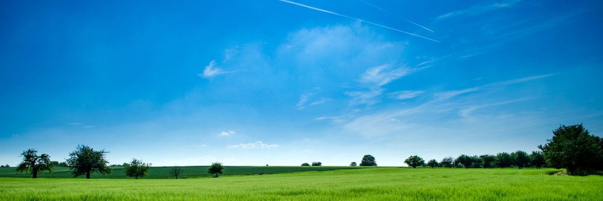 Grüne Landschaft